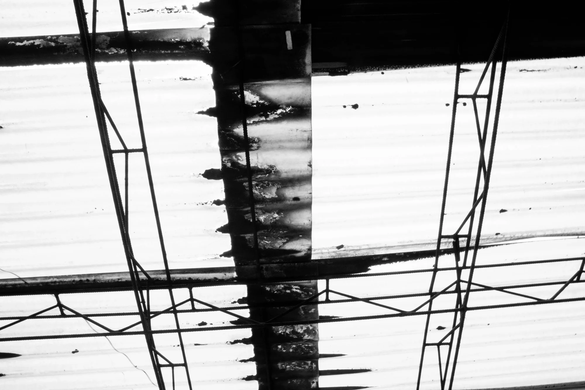 Calderón shoot 8