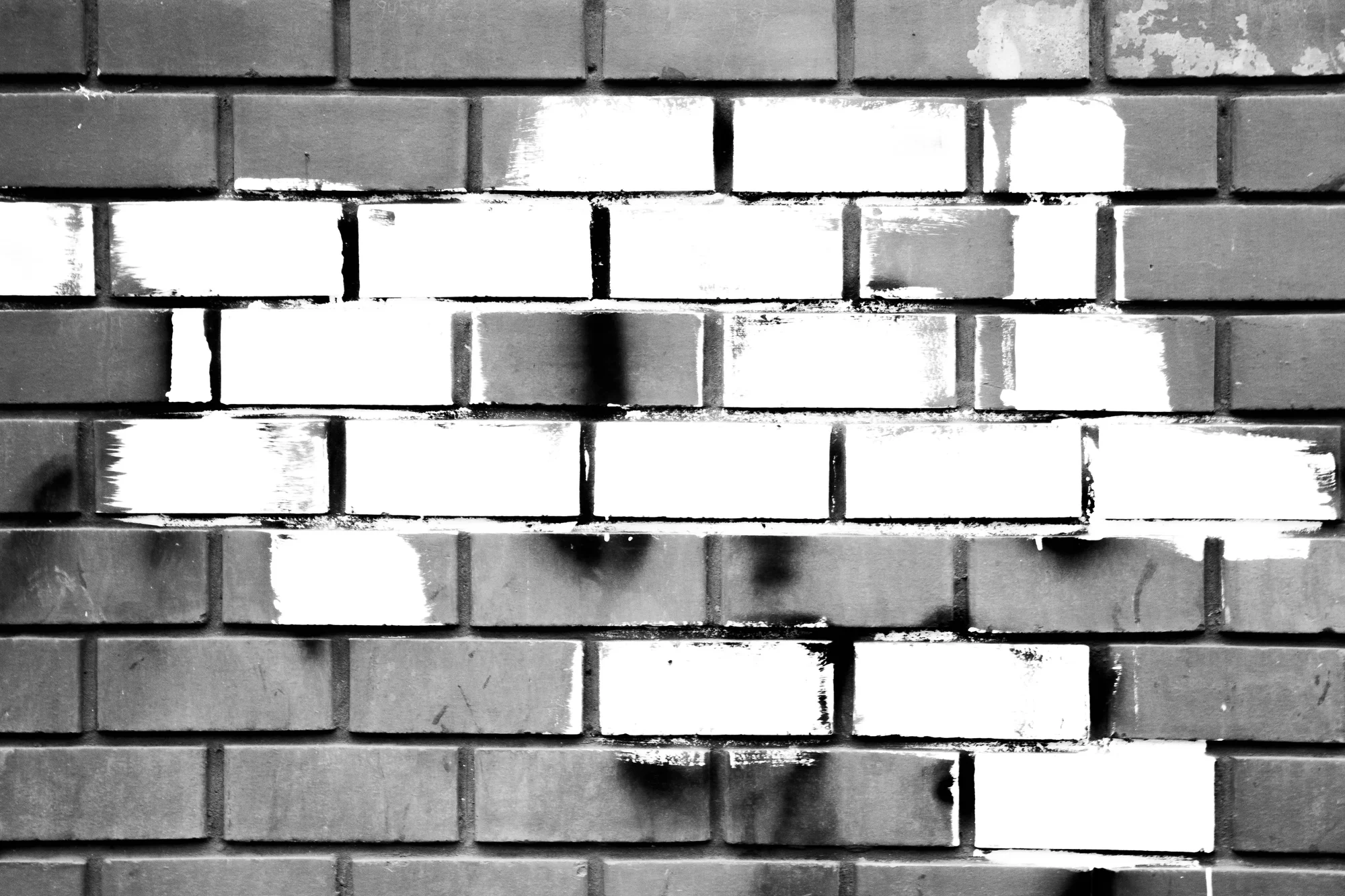 Calderón shoot 12