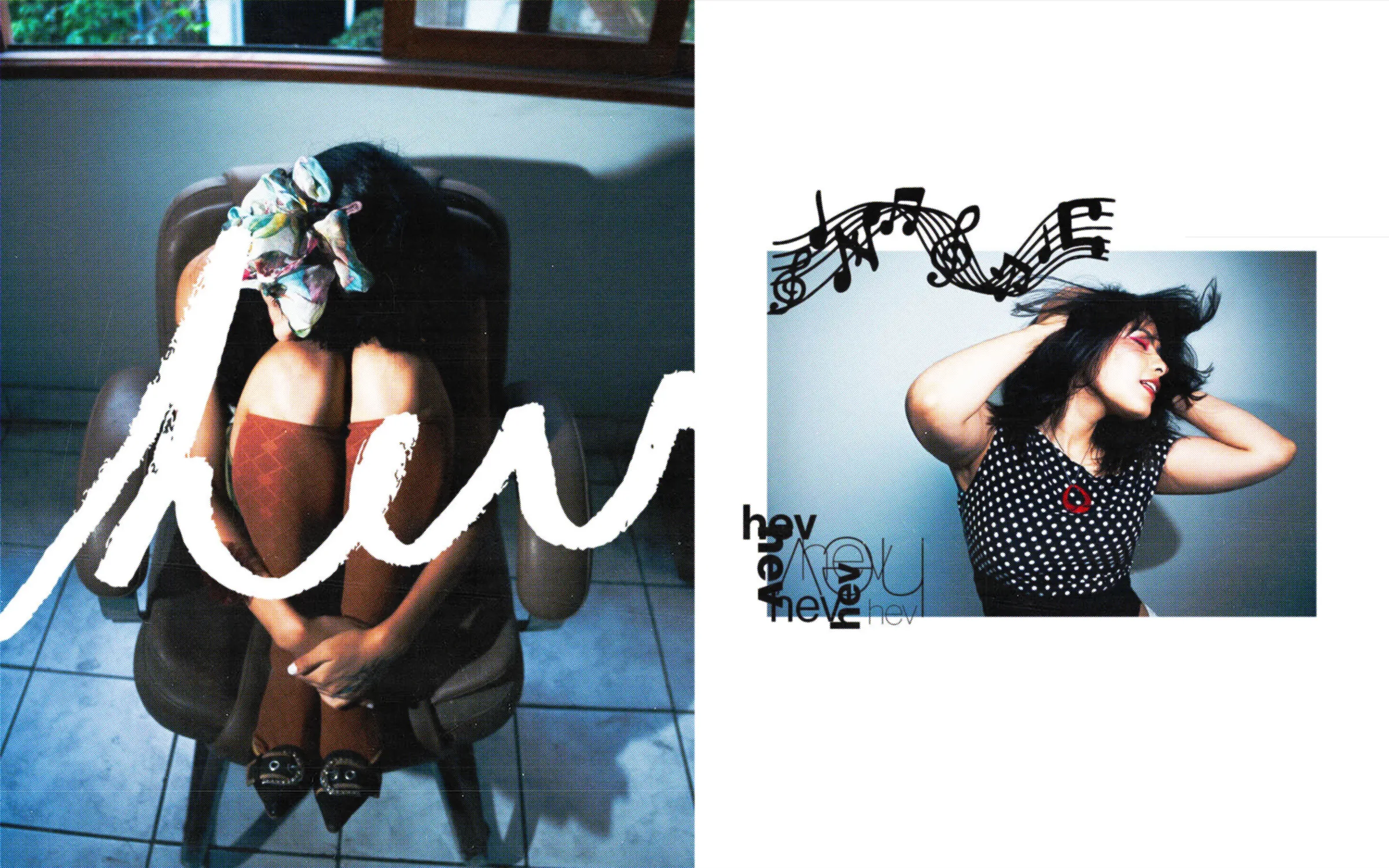 HEV - imagen 1